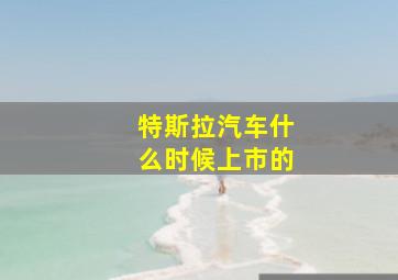 特斯拉汽车什么时候上市的