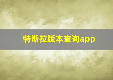 特斯拉版本查询app