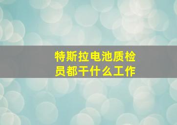 特斯拉电池质检员都干什么工作