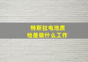 特斯拉电池质检是做什么工作