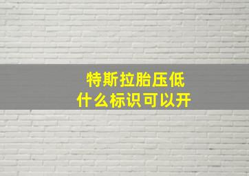 特斯拉胎压低什么标识可以开