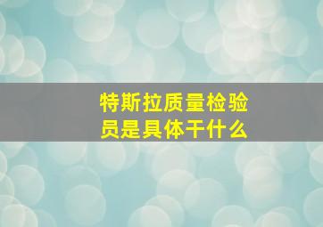 特斯拉质量检验员是具体干什么