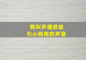 狗叫声播放吸引小狗狗的声音