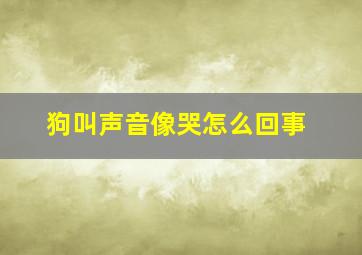 狗叫声音像哭怎么回事