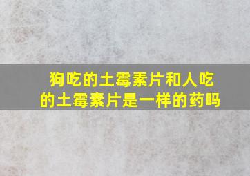 狗吃的土霉素片和人吃的土霉素片是一样的药吗