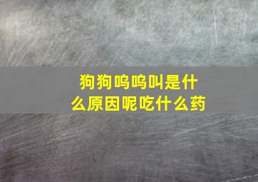 狗狗呜呜叫是什么原因呢吃什么药