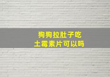 狗狗拉肚子吃土霉素片可以吗