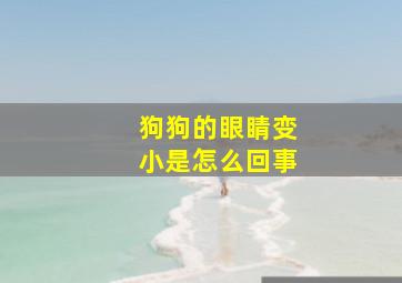 狗狗的眼睛变小是怎么回事