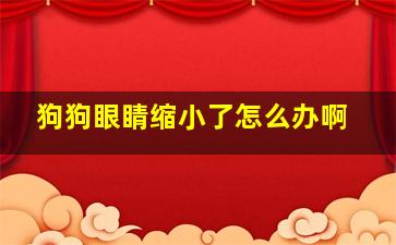 狗狗眼睛缩小了怎么办啊