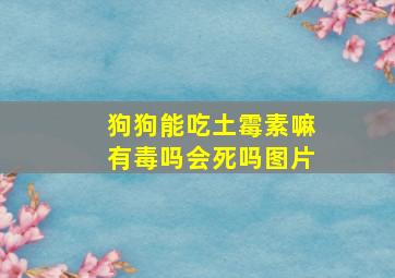 狗狗能吃土霉素嘛有毒吗会死吗图片