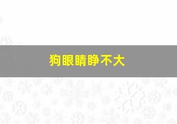 狗眼睛睁不大