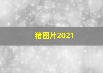 猪图片2021