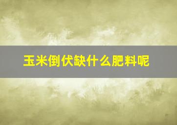 玉米倒伏缺什么肥料呢