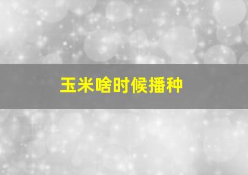 玉米啥时候播种