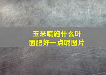 玉米喷施什么叶面肥好一点呢图片