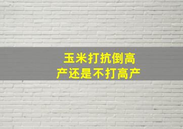 玉米打抗倒高产还是不打高产