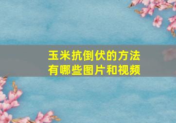 玉米抗倒伏的方法有哪些图片和视频