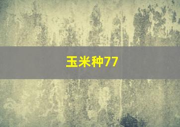 玉米种77