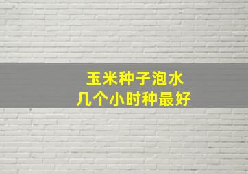 玉米种子泡水几个小时种最好