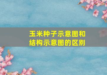 玉米种子示意图和结构示意图的区别