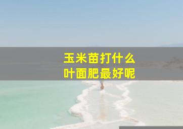 玉米苗打什么叶面肥最好呢