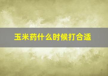 玉米药什么时候打合适