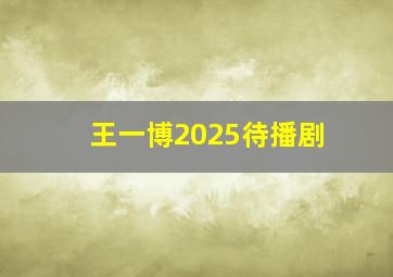 王一博2025待播剧