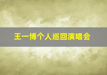 王一博个人巡回演唱会