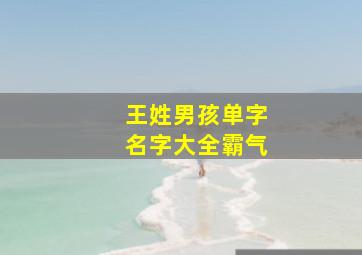 王姓男孩单字名字大全霸气