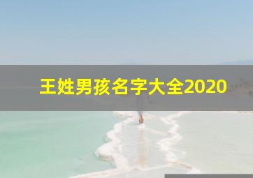 王姓男孩名字大全2020