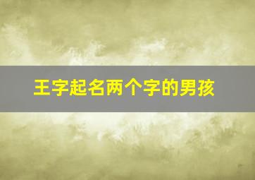 王字起名两个字的男孩