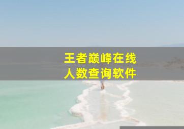 王者巅峰在线人数查询软件