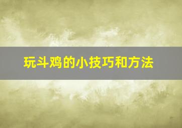 玩斗鸡的小技巧和方法