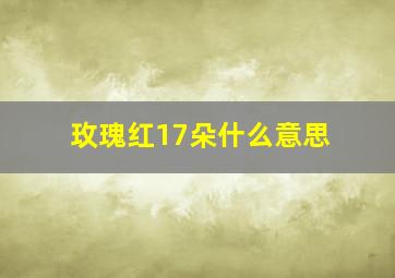 玫瑰红17朵什么意思