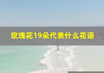 玫瑰花19朵代表什么花语