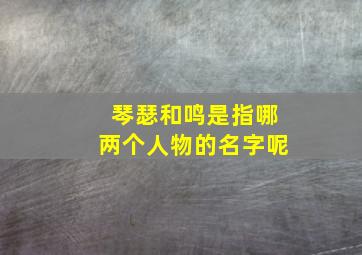 琴瑟和鸣是指哪两个人物的名字呢