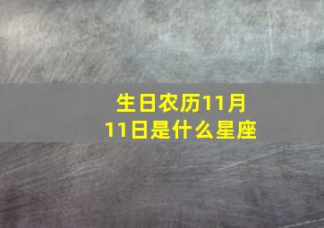 生日农历11月11日是什么星座