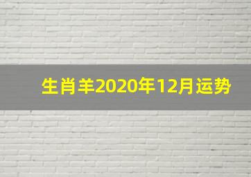 生肖羊2020年12月运势