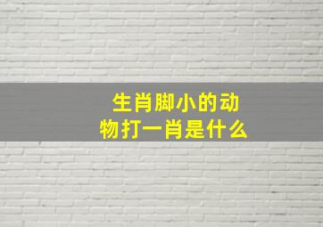 生肖脚小的动物打一肖是什么