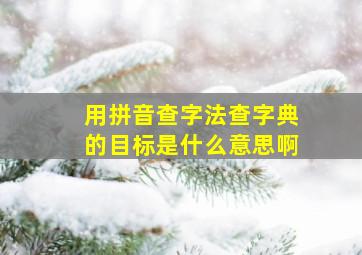 用拼音查字法查字典的目标是什么意思啊