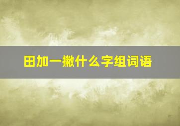 田加一撇什么字组词语