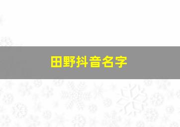 田野抖音名字