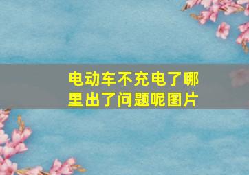 电动车不充电了哪里出了问题呢图片