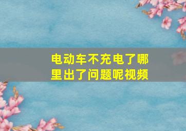 电动车不充电了哪里出了问题呢视频