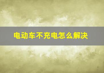 电动车不充电怎么解决