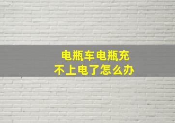 电瓶车电瓶充不上电了怎么办