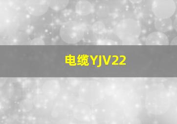 电缆YJV22