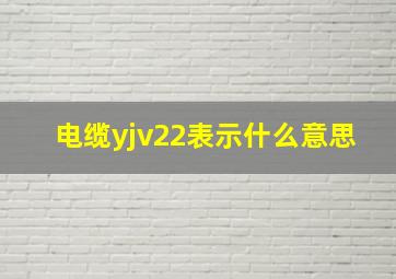 电缆yjv22表示什么意思