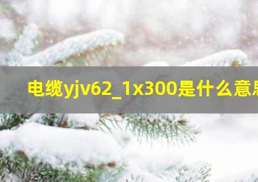 电缆yjv62_1x300是什么意思