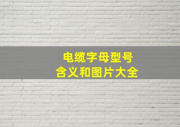 电缆字母型号含义和图片大全